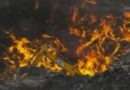 ગાઝીપુર લેન્ડફિલમાં આગ લાગતાં લોકોને શ્વાસ લેવામાં પડી ભારે તકલીફ 