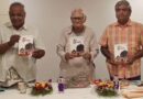 એમ. એસ. યુનિ.નો વાસ્તવિક ઇતિહાસ: ‘મેજર હિંટ્સ’