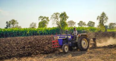 गांधीनगर जिले में अब तक 11,677 हेक्टेयर में हुई बुवाई, किसानों को अच्छे मुनाफे की आस