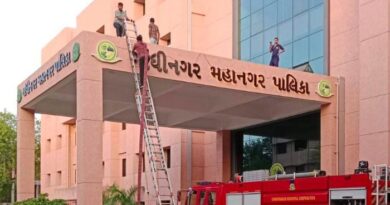 गांधीनगर में पशु नीति पर सुस्ती: सवा साल में सिर्फ 27 लाइसेंस, 12000 पशुओं की हुई टैगिंग