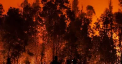 धधक उठा चिली: आसमान हुआ नारंगी, भीषण आग की चपेट में आने से 18 की मौत