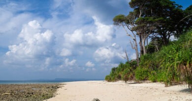 ग्रेट निकोबार प्रोजेक्ट को मिली हरी झंडी: NGT ने ₹81,000 करोड़ के मेगा प्रोजेक्ट को दी मंजूरी