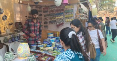 નીલવર્ણી કલાનો સંગમ: રાકેશ ગુજજરની બ્લુ પોટરી કલાનું ગાંધીનગરના વસંતોત્સવમાં શાહી પ્રદર્શન