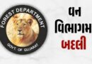 गुजरात वन विभाग में बड़ा फेरबदल: 35 रेंज फॉरेस्ट ऑफिसर्स (RFO) के सामूहिक तबादले, प्रशासनिक सुधार के लिए सरकार का कड़ा फैसला