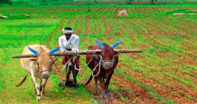 गुजरात के किसानों को बड़ी सौगात: जमीन की विरासत और हक की कमी (Right Waiver) की प्रक्रिया हुई सस्ती