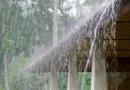 गुजरात में तपने के बाद अब बरसेंगे बादल, तापमान में 2 से 3 डिग्री सेल्सियस की गिरावट संभव