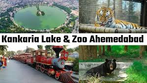 अहमदाबाद में गर्मी का टॉर्चर: कांकरिया जू के बेजुबानों को हीटवेव से बचाने के लिए हाई-टेक इंतजाम