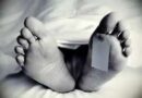 अहमदाबाद: प्रसूति के दौरान 35 वर्षीय महिला की मौत, परिजनों का डॉक्टरों पर लापरवाही का संगीन आरोप, डिलीवरी के वक्त मुख्य डॉक्टर के गायब रहने का दावा अहमदाबाद: प्रसूति के दौरान 35 वर्षीय महिला की मौत, परिजनों का डॉक्टरों पर लापरवाही का संगीन आरोप, डिलीवरी के वक्त मुख्य डॉक्टर के गायब रहने का दावा