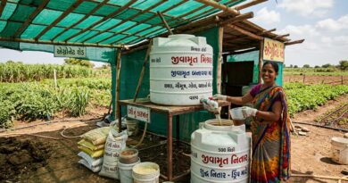 પ્રાકૃતિક ખેતીનું ‘દેશી કારખાનું’: જીવામૃત અને નિતાર સિસ્ટમથી ખેડૂત બનશે આત્મનિર્ભર