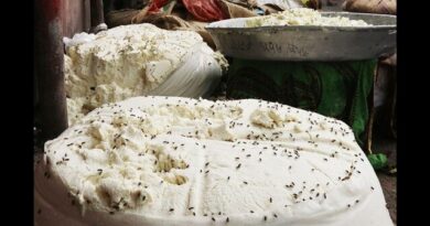 सावन और त्योहारों में मिलावट का खेल: घी, मावा और सिंदूर में मिलावट पर स्वास्थ्य मंत्री की अपील, ढीली कार्रवाई पर उठे सवाल