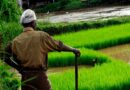 गुजरात के किसानों पर ₹1.68 लाख करोड़ से अधिक का कर्ज, केंद्र सरकार के आंकड़ों में चौंकाने वाला खुलासा गुजरात के किसानों पर ₹1.68 लाख करोड़ से अधिक का कर्ज, केंद्र सरकार के आंकड़ों में चौंकाने वाला खुलासा
