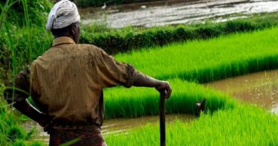 गुजरात के किसानों पर ₹1.68 लाख करोड़ से अधिक का कर्ज, केंद्र सरकार के आंकड़ों में चौंकाने वाला खुलासा गुजरात के किसानों पर ₹1.68 लाख करोड़ से अधिक का कर्ज, केंद्र सरकार के आंकड़ों में चौंकाने वाला खुलासा